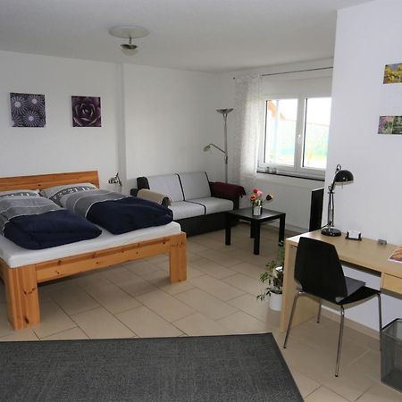באד בלינגן Ferienwohnung Rheingeschaut מראה חיצוני תמונה